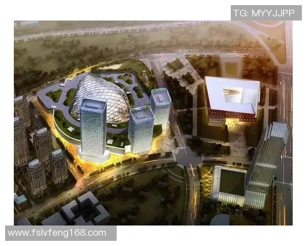 武汉乒乓球队的运营策略分析与发展前景探讨